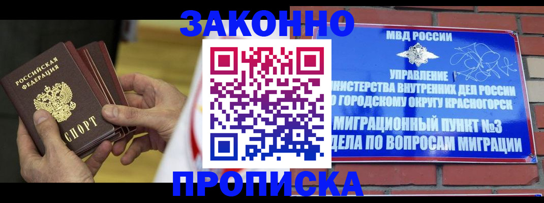 прописка для школы в Соколе